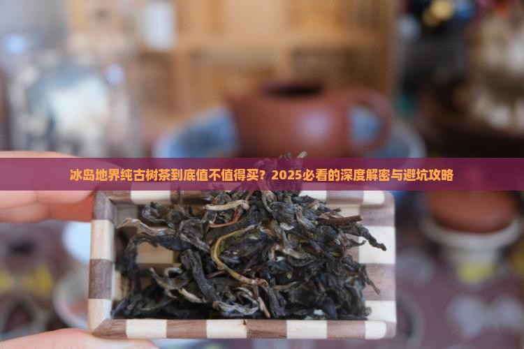 冰岛地界纯古树茶