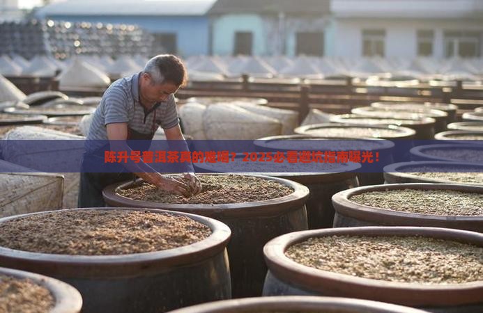 陈升号普洱茶难喝