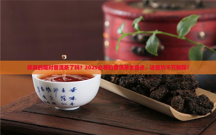 平常喝的普洱茶有哪些 平常喝的普洱茶有哪些