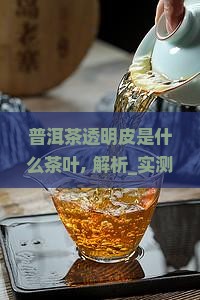 普洱茶透明皮是什么茶叶