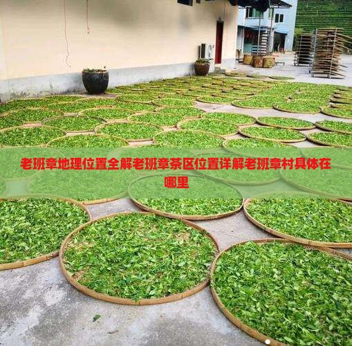 老班章地理位置全解