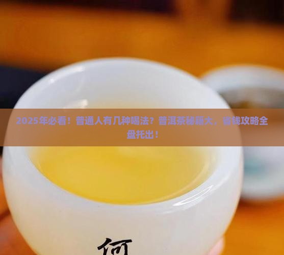 普洱茶有多少喝法