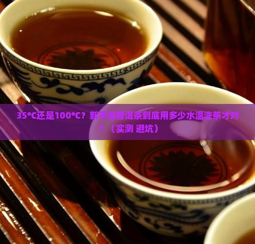 普洱茶用多少水温洗茶
