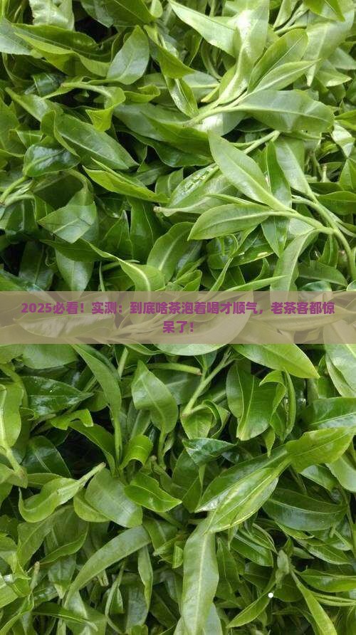 什么泡茶喝的顺气