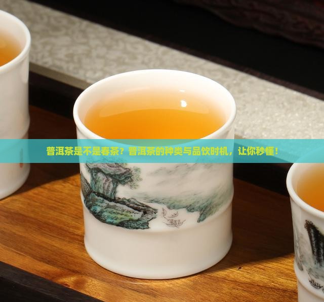 普洱茶是不是春茶