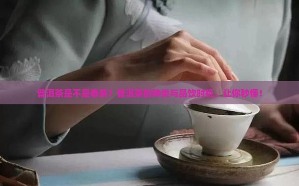 普洱茶是不是春茶
