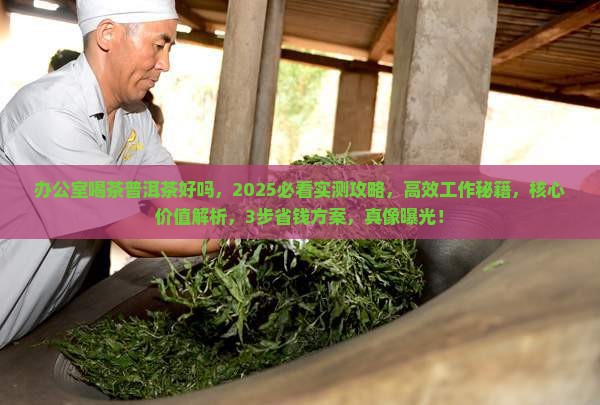 办公室喝茶普洱茶好吗