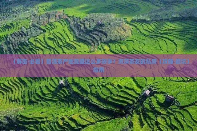 什么是普洱茶产地和产地