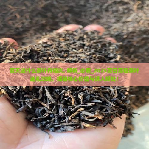 夏天送什么茶叶有档次