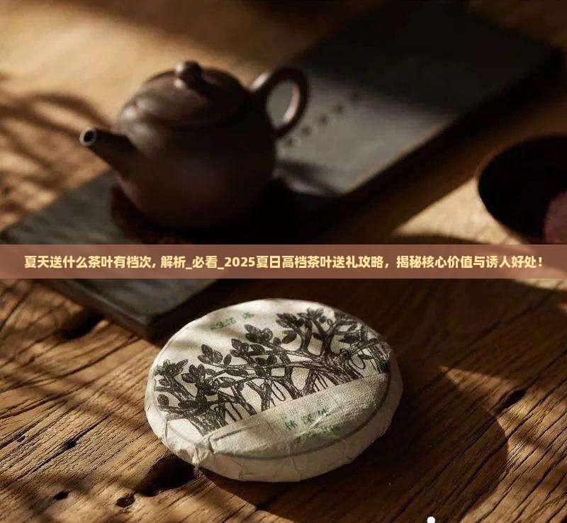 夏天送什么茶叶有档次