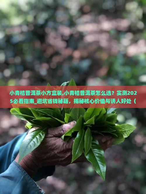 小青桔普洱茶小方盒装