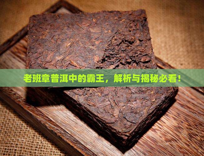 真真实实的老班章茶