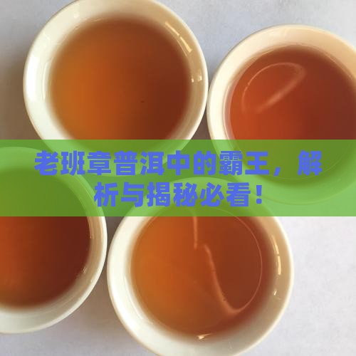 真真实实的老班章茶