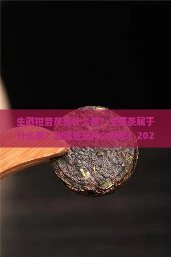 生晒柑普茶是什么茶