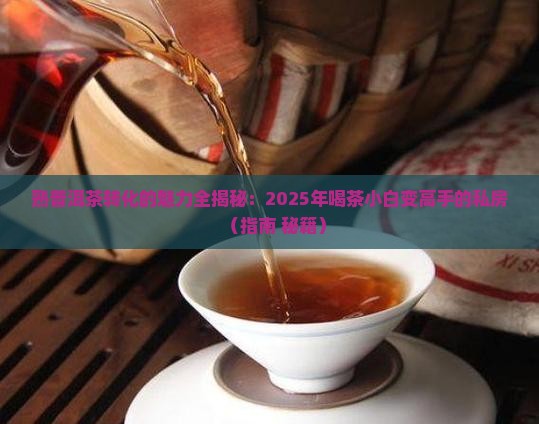 熟普洱茶转化的魅力