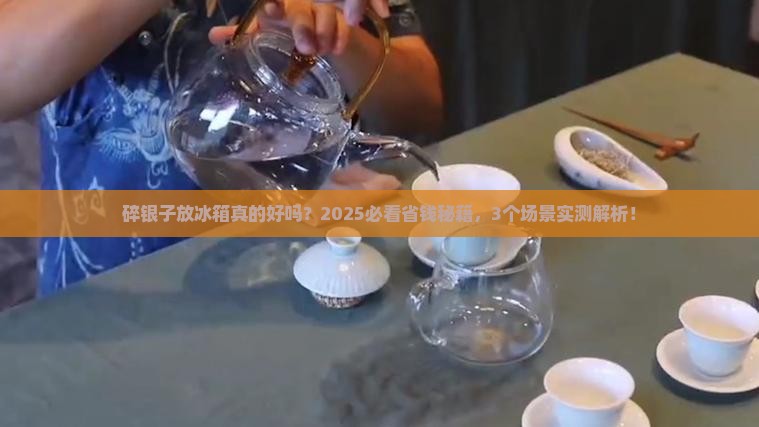 碎银子要放冰箱吗