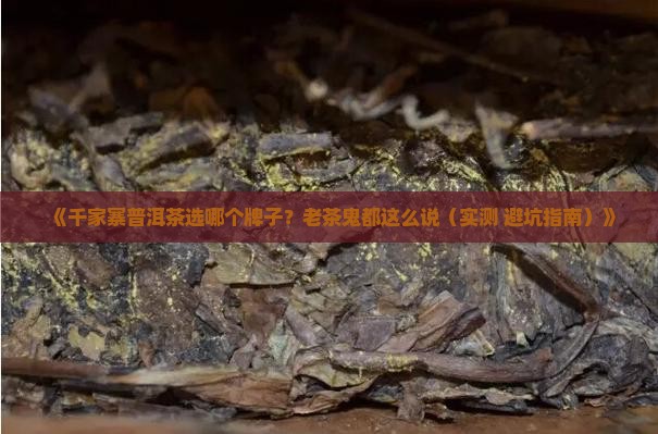 千家寨普洱茶哪个牌子好