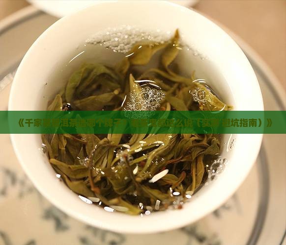 千家寨普洱茶哪个牌子好