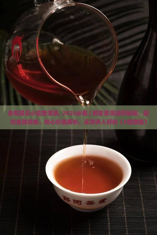 合和昌五小盒普洱茶