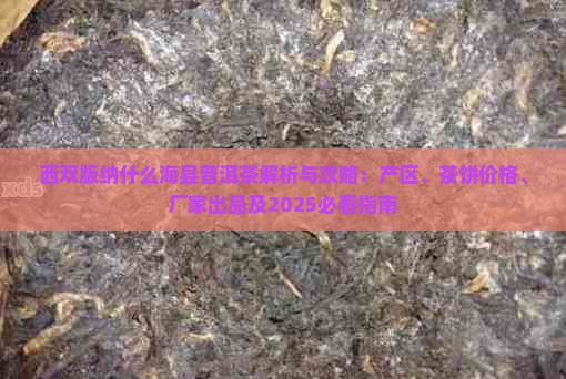 西双版纳什么海县普洱茶