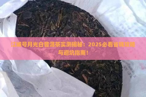 江城号月光白普洱茶