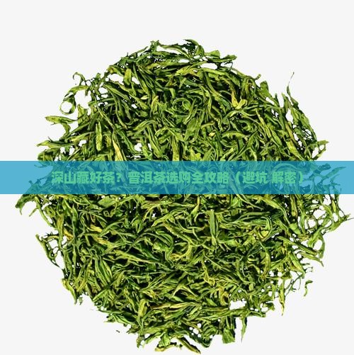 深山藏好茶普洱茶