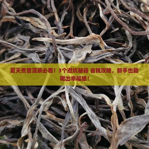 夏天煮什么普洱茶好喝呢