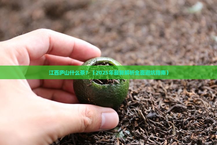 江西庐山什么茶