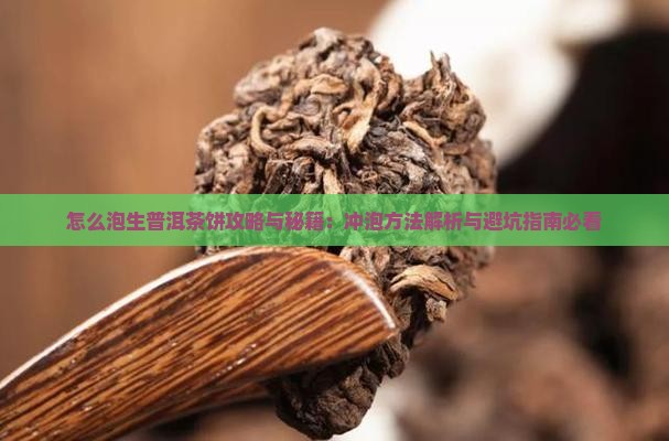 怎么泡生普洱茶饼