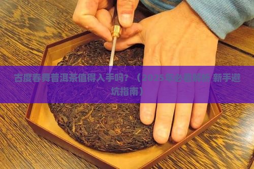 古度春舞普洱茶怎么样