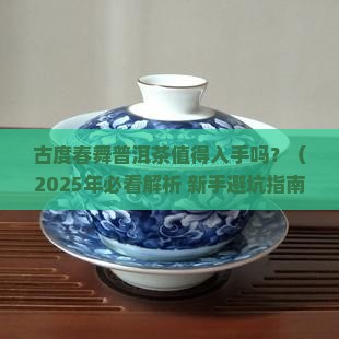 古度春舞普洱茶怎么样