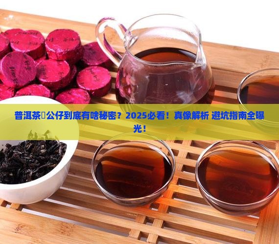 普洱茶孖公仔是什么意思