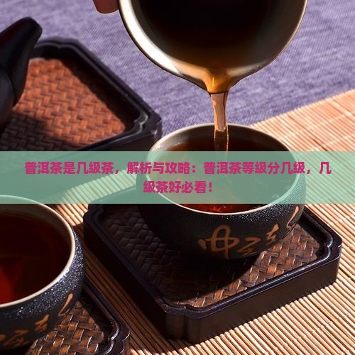 普洱茶是几级茶