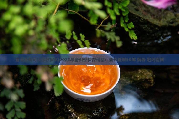 普洱茶料可以保存多久