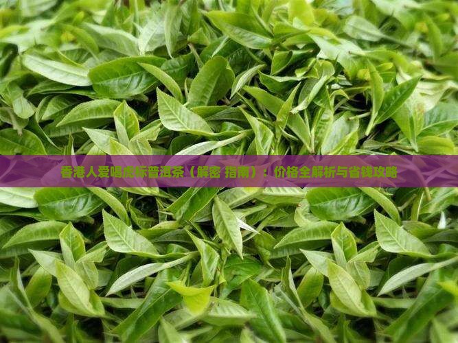 香港人爱喝虎标普洱茶