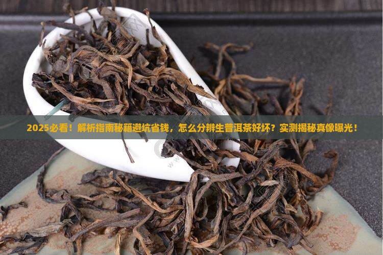 怎么分辨生普洱茶的好坏