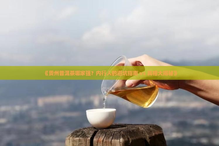 贵州普洱茶哪家强
