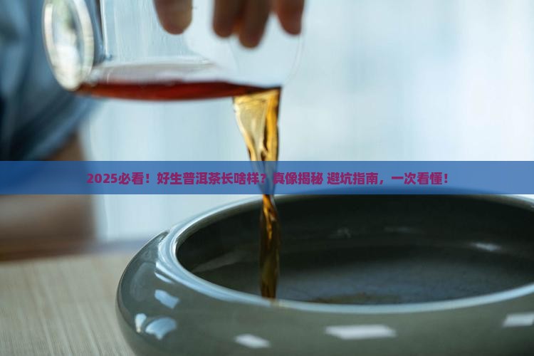 好生普洱茶的样子