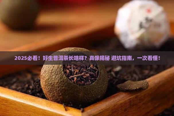 好生普洱茶的样子