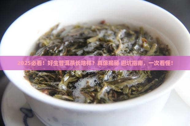 好生普洱茶的样子
