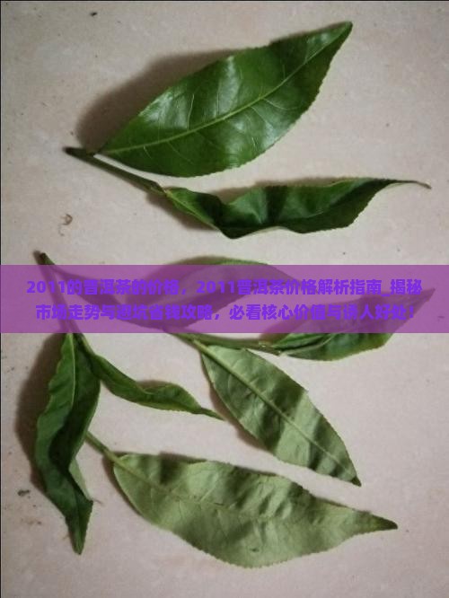 2011的普洱茶的价格