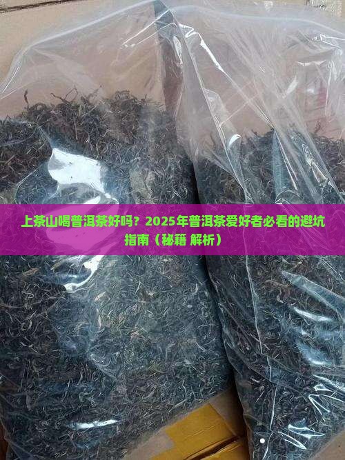 上茶山喝普洱茶好吗