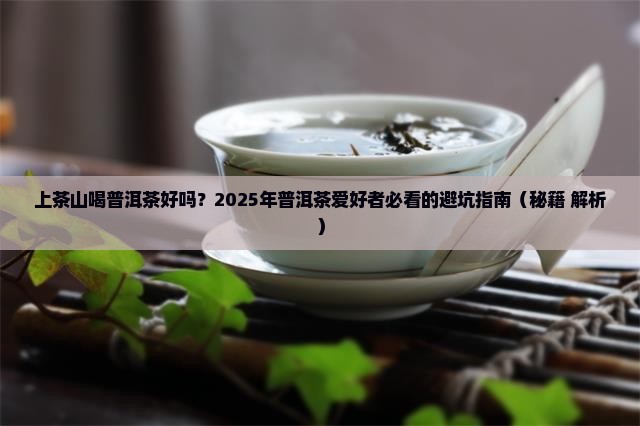 上茶山喝普洱茶好吗