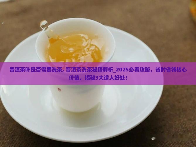 普洱茶叶是否需要洗茶