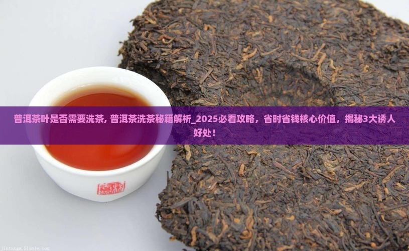 普洱茶叶是否需要洗茶