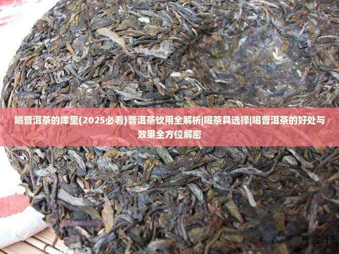 喝普洱茶的库里