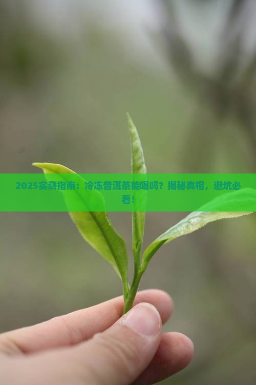 冷冻的普洱茶能喝吗有害吗