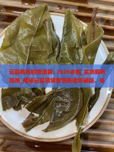 云县有名的普洱茶