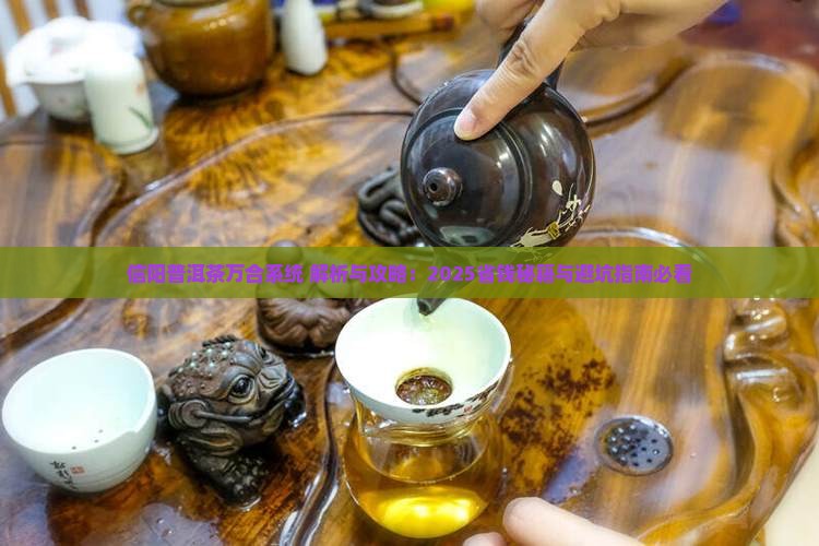 信阳普洱茶万合系统