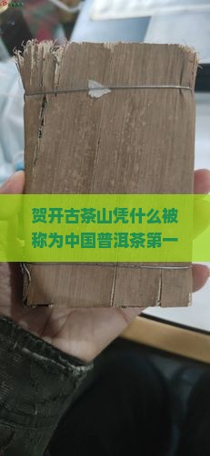 贺开古茶山获中国普洱茶第一山